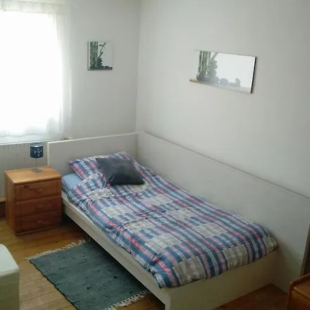 Guest house Pension Wiesental Wiesental